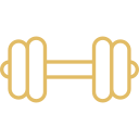 Gymnasium